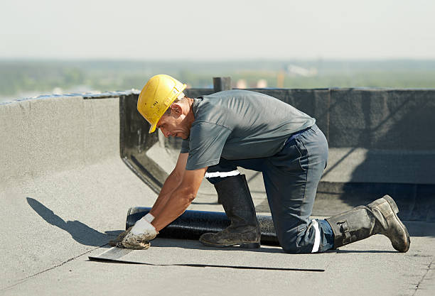 Best Insulation Contractors for Homes  in Oak Lawn, IL