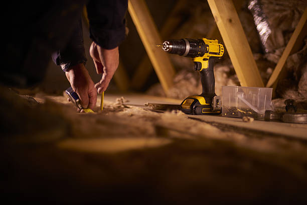 Best Insulation Inspection Services  in Oak Lawn, IL